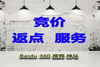 某某SEM服务公司如何帮助企业实现ROI最大化